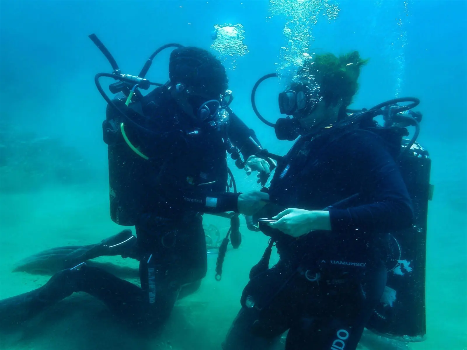 Oceanwide divers before an underwater survey